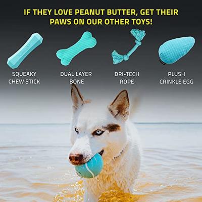 PLAYOLOGY Scented Dual Layer Ring Dog Toy, Medium, Peanut Butter