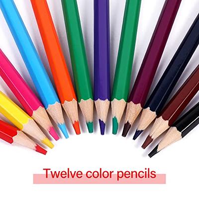 Huhuhero Colored Pencils for Adult Coloring Books, Set of 120 Colors, Soft  Core Artist Drawing Pencils, Ideal Coloring Pencils for Sketching Shading