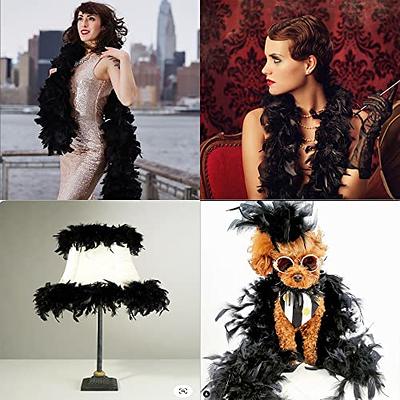 Larryhot 45g Black Feather Boa - 2 Yards Turkey Boa Feathers for Party Bulk,Halloween,Wedding,Centerpieces,Concert,Costume  and Home Decoration(45g-Black) - Yahoo Shopping