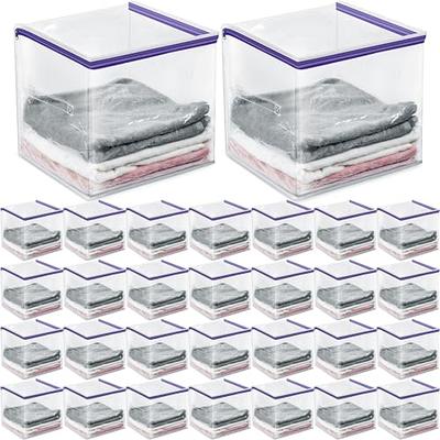 Sweetude 30 Pcs Clear Storage Bag Zippered Organizers Foldable Sweater  Storage Closet Organizer Plastic Storage Bags Bins Containers with Zipper  and Handle Storage Bags for Clothes, 14 Inch (Purple) - Yahoo Shopping