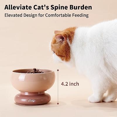 Elevated Cat Bowls, Bowls With Stand, Raised Cat Food Kitten Bowl, Ceramic  Best - Yahoo Shopping