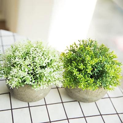 THE BLOOM TIMES 2 Pcs Fake Plant for Bathroom/Home Office Decor, Small  Artificial Faux Greenery for House Decorations (Potted Plants) - Yahoo  Shopping