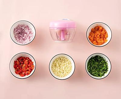 Manual Food Chopper, Easy Hand Pull Onion Chopper, Durable Handheld String  Food Processor for Veggie, Garlic