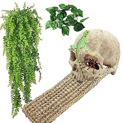 Skull Sceneterrarium Kit Aerium Kit Hanging Terrarium Table Top Terrarium  Quartz Skull Terrarium Home Decor Globe Terrarium 