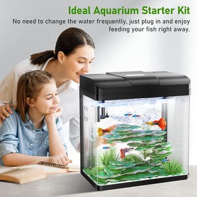 PONDON 5 Gallon Fish Tank, Glass Aquarium with Air Pump, LED Cool Lights  and Filter, Betta Fish Aquarium Starter Kit (Black) - Yahoo Shopping