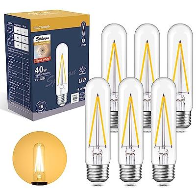 T10 LED Clear Bulbs Warm White 2700K LED Tubular Edison Light Bulbs 4W  Dimmable Tube Vintage Led Bulbs 40 Watt Equivalent,E26 Medium Base, LED