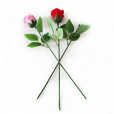 FOMIYES 120 Pcs Flower Stem Rose Stem with Paper Floral Wire Flower Making  Wire Picks Flower Tape Wire Stem with Leaves Floral Stem Flower Wire Stems  with Leaves Flower Manual Bride 