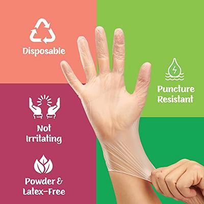 100 Counts/Box Disposable Gloves Powder-Free Clear Vinyl Gloves Latex Free  Glove TPE Gloves for Household Food Handling Lab Work