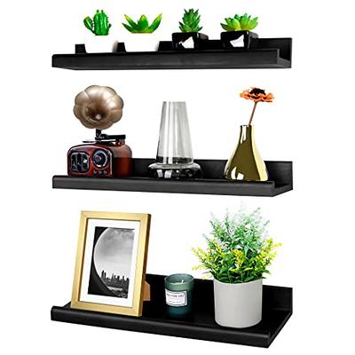 PAVSTINE Acrylic Wall Floating Shelves Set of 2, Wall Shelves