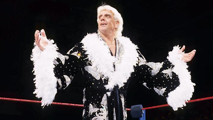 Ric_Flair_bio.jpg.cf.jpg