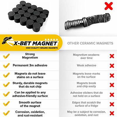 X-bet Magnet