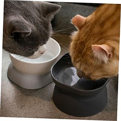 LE TAUCI Cat Food Bowl Ceramic, 8 Oz Small Cat Food Dishes for Indoor Cats,  Cat Water Bowl, Relief Whisker Fatigue Cat Bowls, Cute Paw Shaped Kitten  Bowls, Cat Plates, Small Animal