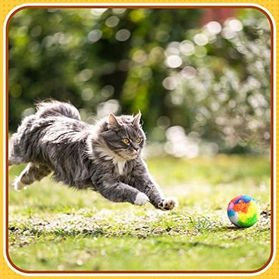 Pompom Balls for Cats and Kittens