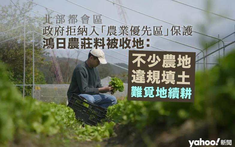 北部都會區｜政府拒納入「農業優先區」保護　鴻日農莊料被收地：不少農地違規填土　難覓地續耕｜Yahoo