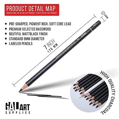 Galart Supplies Charcoal Pencils for Drawing Set with Organizer Tray – 12  Pieces Soft, Medium, Hard and White Charcoal Pencils for Drawing, Shading  and Sketching for Artists and Beginners - Yahoo Shopping