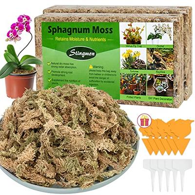  Premium Natural Sphagnum Peat Moss - Gardening Soil Amendment  and Carnivorous Plant Soil Media by Gardenera (1 Quart Bag) : Patio, Lawn &  Garden