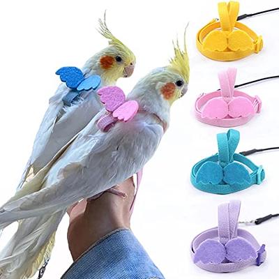 Bird Harness, Pet Parrot Bird Harness and Leash Flying Rope Straps Outdoor  Bird Flying Harness Training Traction Rope for Budgerigar Cockatiel Small