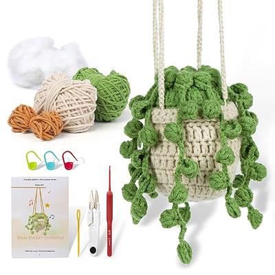 RQWZBCHX Beginners Crochet Kit, 4 Pattern Animals - Pig, Frog, Whale,  Octopus Crochet Set for Starters Adult Kids with Step-by-Step Video  Tutorials