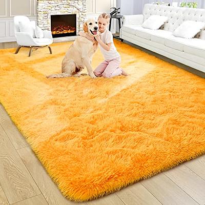 Noahas Fluffy Bedroom Rug Carpet,4x5.3 Feet,Shaggy Fuzzy Rugs for Bedr