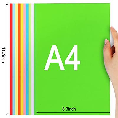 BAZIC 25 Sheets Pastel Color Multipurpose Paper 8.5x11, Colored Copy  Paper Fax Laser Printing for Office School (25/Pack), 1-Pack - Yahoo  Shopping