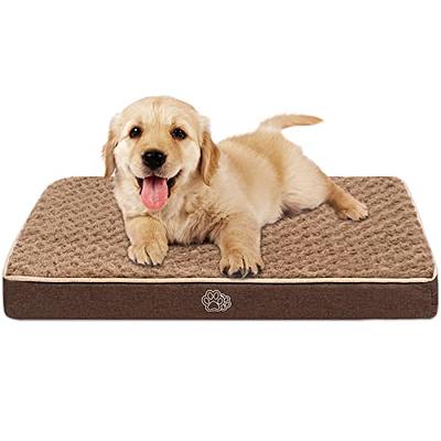 Large dog clearance mattress bed