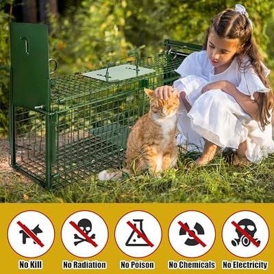 2-Pack Humane Rat Traps, Live Mouse Rat Cage Traps Catch and Release for  Indoor Outdoor, Small Animals Traps, Easy to use,(10.6x 5.5x 4.5)