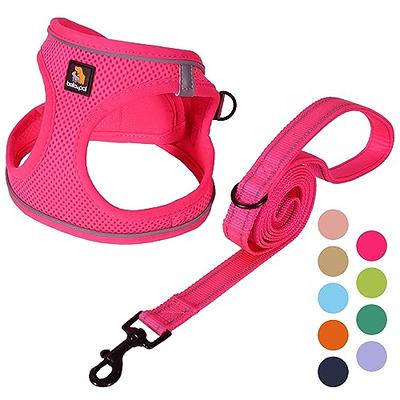 VETRESKA No Pull Dog Harness Leash Set for Small Dogs Puppy Harness  Adjustable