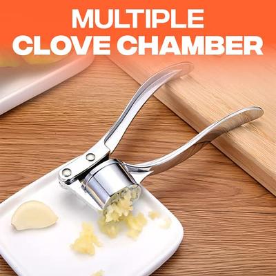 Premium Stainless Steel Garlic Press | Easy-Clean Garlic Mincer Tool