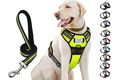 Service Dog Vest Harness, Animire No Pull Dog Harness with 7 Dog