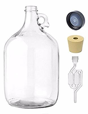 FasTrack 5 Gallon Glass Carboy