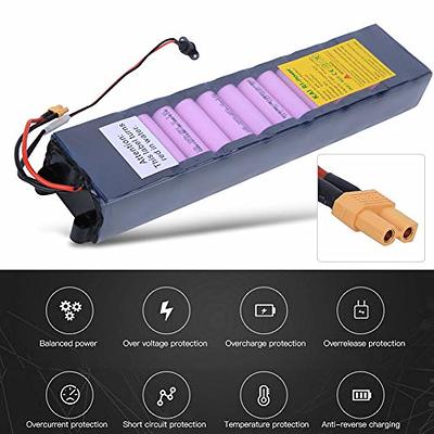 Li-Polymer Battery Pack 36V 6ah/Li-ion Battery Pack/Electric Bike Battery/LiFePO4  Battery Cell for Electric Kick Scooter - China Lithium Battery, Li-ion  Battery