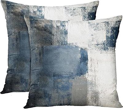  Comvi Blue Throw Pillows with Inserts Included - Decorative  Pillows, Inserts & Covers - (2 Throw Pillows + 2 Pillow Covers) - Velvet Throw  Pillows for Couch -flanged Pillow Covers 18x18 - Blue : Home & Kitchen