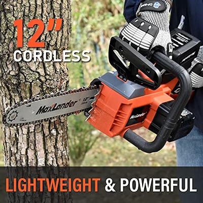 Worx Nitro 40V Power Share Cordless 16 Chainsaw with Brushless Motor WG385