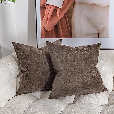 MADIZZ Pack of 2 Soft Plush Short Wool Velvet Decorative Throw Pillow Covers Luxury Style Cushion Case Pillow Shell for Sofa Bedroom Square Beige