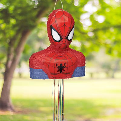 Multicolor Birthday Spiderman Pinata, Pull String, 18 x 15in - Yahoo  Shopping