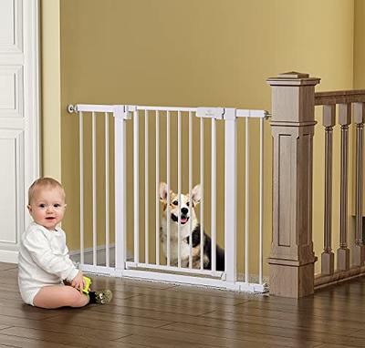 Babelio Metal Baby Gate, 29-48'' Auto Close Easy Install Pet Gate, Extra  Wide Walk Thru Child Safety Gate with Door, Pressure Mounted Dog Gate for