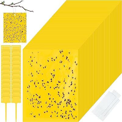 Gnat, and Fruit Fly Trap: Yellow Dual Sided Glue Insect Catcher to