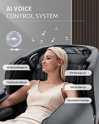 Mynt Vibration Back Massager with Heat:Car Chair Massage Cushion