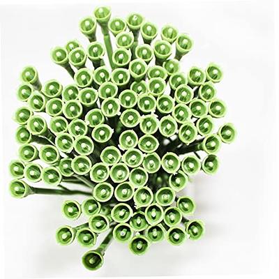 FOMIYES 120 Pcs Flower Stem Rose Stem with Paper Floral Wire Flower Making  Wire Picks Flower Tape Wire Stem with Leaves Floral Stem Flower Wire Stems  with Leaves Flower Manual Bride 