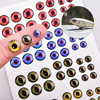 Skipaelf 1569 Pieces Fishing Lure Eyes with 1pc Tweezer,3D/4D/5D Realistic  Fishing Eyes Sizes 3mm 4mm 5mm 6mm 8mm 10mm,Oval Fishing Eye for DIY  Fishing Lures Fly Tying Lures : : Sports 