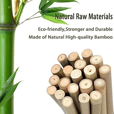 Bamboo Landscape Stakes at