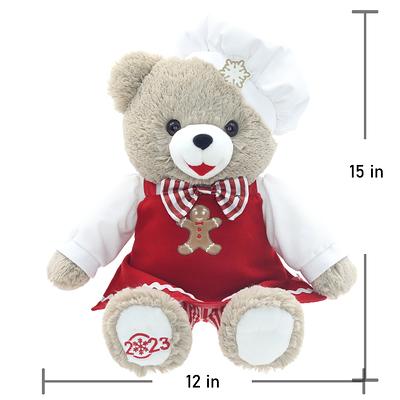 Holiday Time 15 inch Snowflake Teddy Bear 2022, Snowflake Red Jacket Boy 