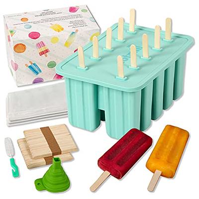 Popsicle Ice Mold Maker Set - 6 Pcs BPA Free Pink Ice Pop Mold Holders with Tray