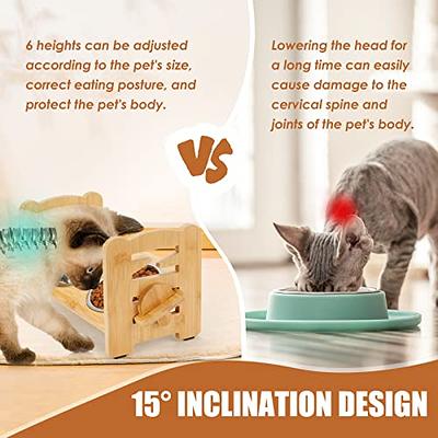 Pet Supplies : Raised Tilted Cat Bowl, Elevated Slanted Feeding Bowl for Cat  and Dogs, Pet Food and Water Bowl with Adjustable Wooden Stand, Anti Slip  Dog Cat Feeder with 2 Stainless