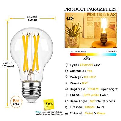 GE 15w 120v A-Shape A19 2700k E26 Fluorescent Light Bulb - 2 pack