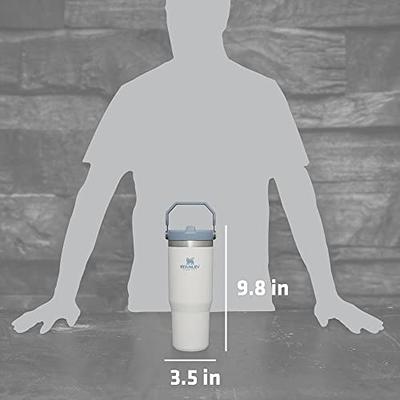  Stanley IceFlow Stainless Steel Tumbler with Straw - Vacuum  Insulated Water Bottle for Home, Office or Car - Reusable Cup Leakproof  Flip - Cold for 12 Hours or Iced for 2