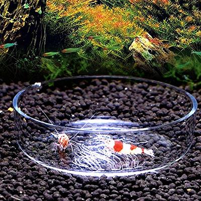 Acrylic Aquarium Shrimp Feeding Dish Bowl Fish Tank Transparent Food  Container Feeder Tray Smaller Reptile Worms Pets Feeder Dish - Yahoo  Shopping