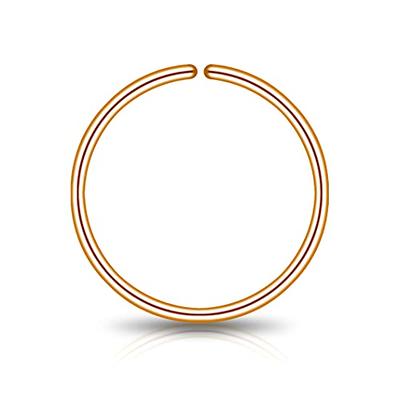 Buy Small Gold Nose Ring, Indian Nose Ring, Unique Nose Hoop, Tribal Nose  Ring, Dainty 20g Nose Ring, Simple Nostril Ring, Minimalist Nose Ring  Online in India - Etsy