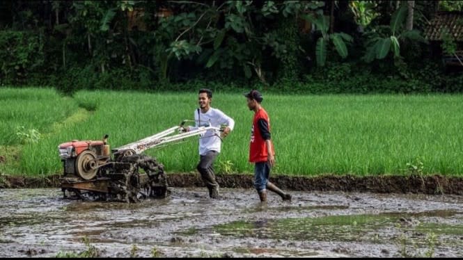 Kementan Beri Insentif Lahan Pertanian yang Tidak 