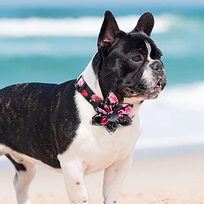 Dog Collar With Flower Bowtie For Girl Dog, Floral Patterns Female Pet Dog  Collars With Metal Buckle Adjustable For Small Medium Large Dogs,  Adjustable Cute Puppy Floral Collars,female Dog Collars For Walking